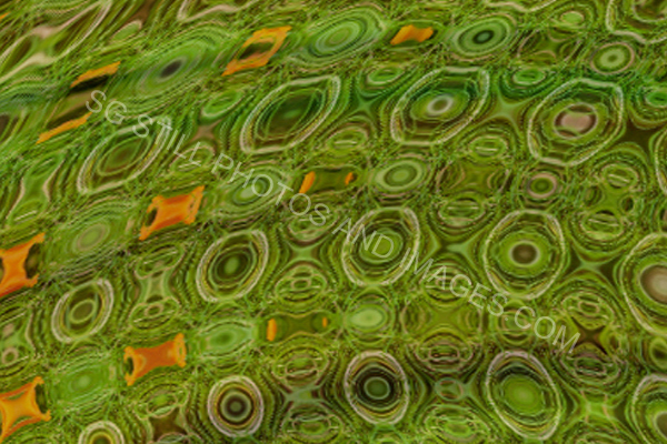 57