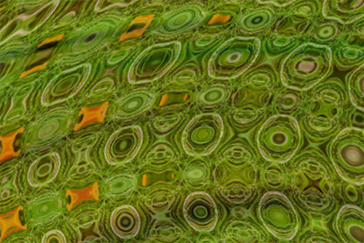 57